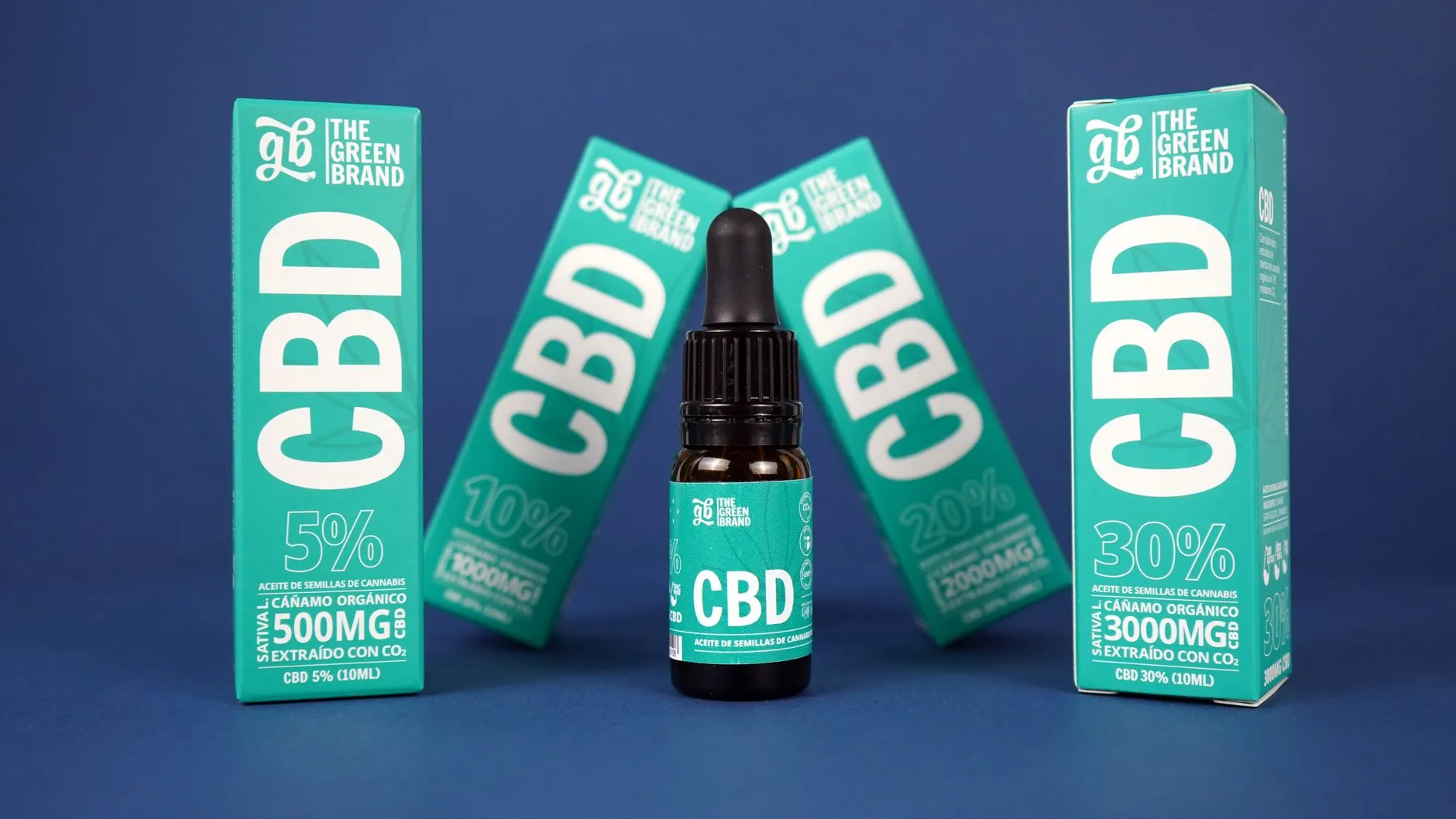 巡更设备在大型企业园区管理中的部署与运维经验分享