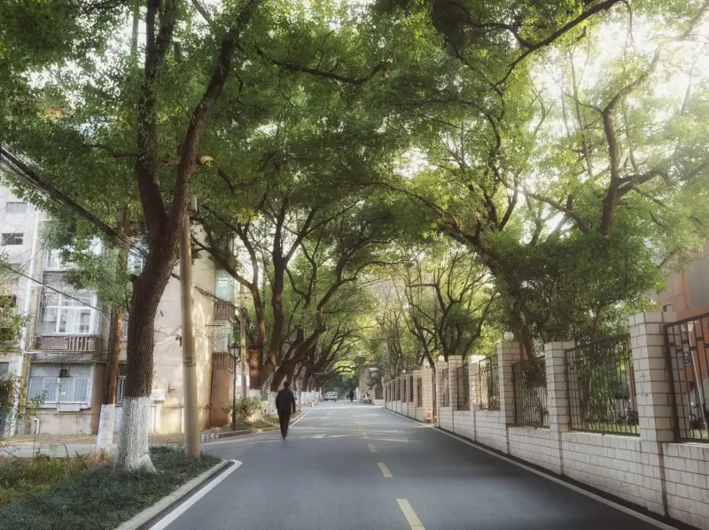 门禁控制器与报警主机联动方案在园区管理中的应用解析