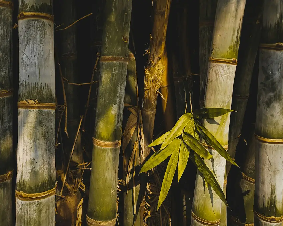 安防监控设备与门禁控制器联动方案：园区出入管理的技术要点解析