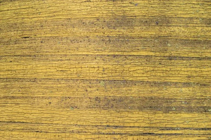 成都企业园区门禁控制器选型要点与安防联动方案设计